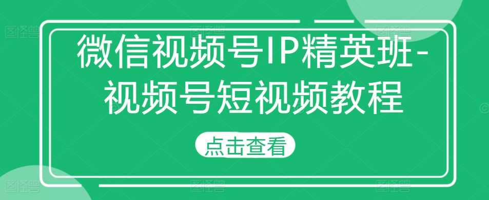 微信视频号IP精英班-视频号短视频教程-U·Muse