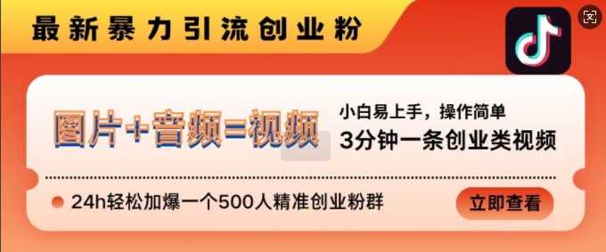 抖音最新暴力引流创业粉，3分钟一条创业类视频，24h轻松加爆一个500人精准创业粉群【揭秘】-U·Muse