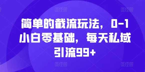 简单的截流玩法，0-1小白零基础，每天私域引流99+【揭秘】-chixinghuan轻创网