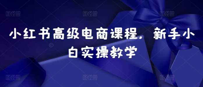 小红书高级电商课程，新手小白实操教学-UMuse轻创网