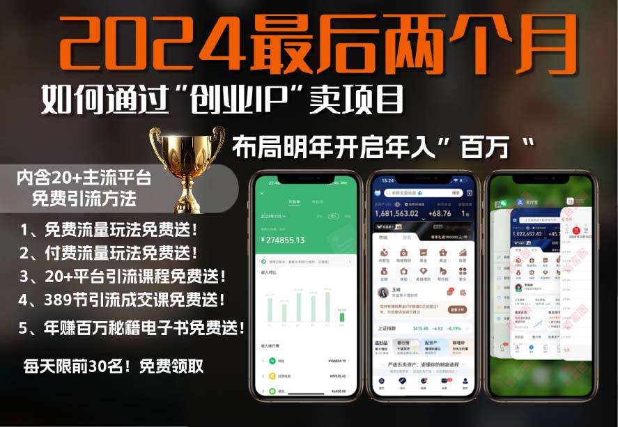 2024最后两个月如何通过”创业IP“卖项目年入”百万“,创业IP+最强引流…-U·Muse
