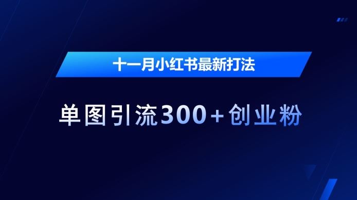 十一月小红书最新打法，单图引流300+创业粉【揭秘】-U·Muse