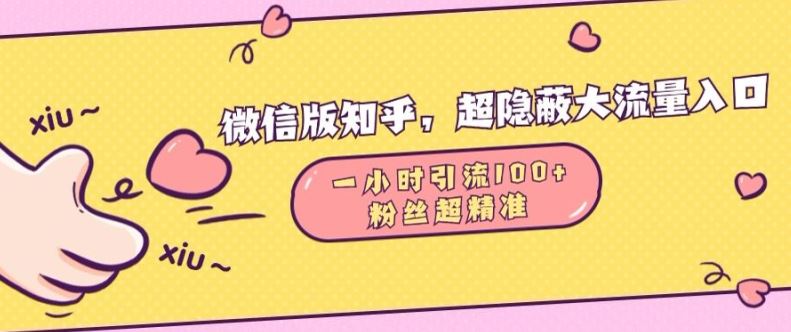 微信版知乎，超隐蔽流量入口1小时引流100人，粉丝质量超高【揭秘】-VHermes轻创网