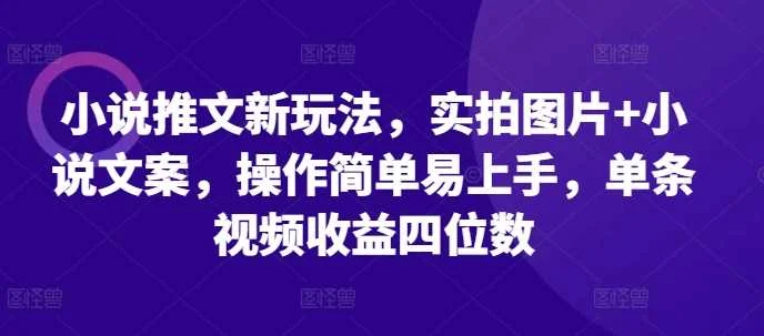 小说推文新玩法，实拍图片+小说文案，操作简单易上手，单条视频收益四位数-VHermes轻创网
