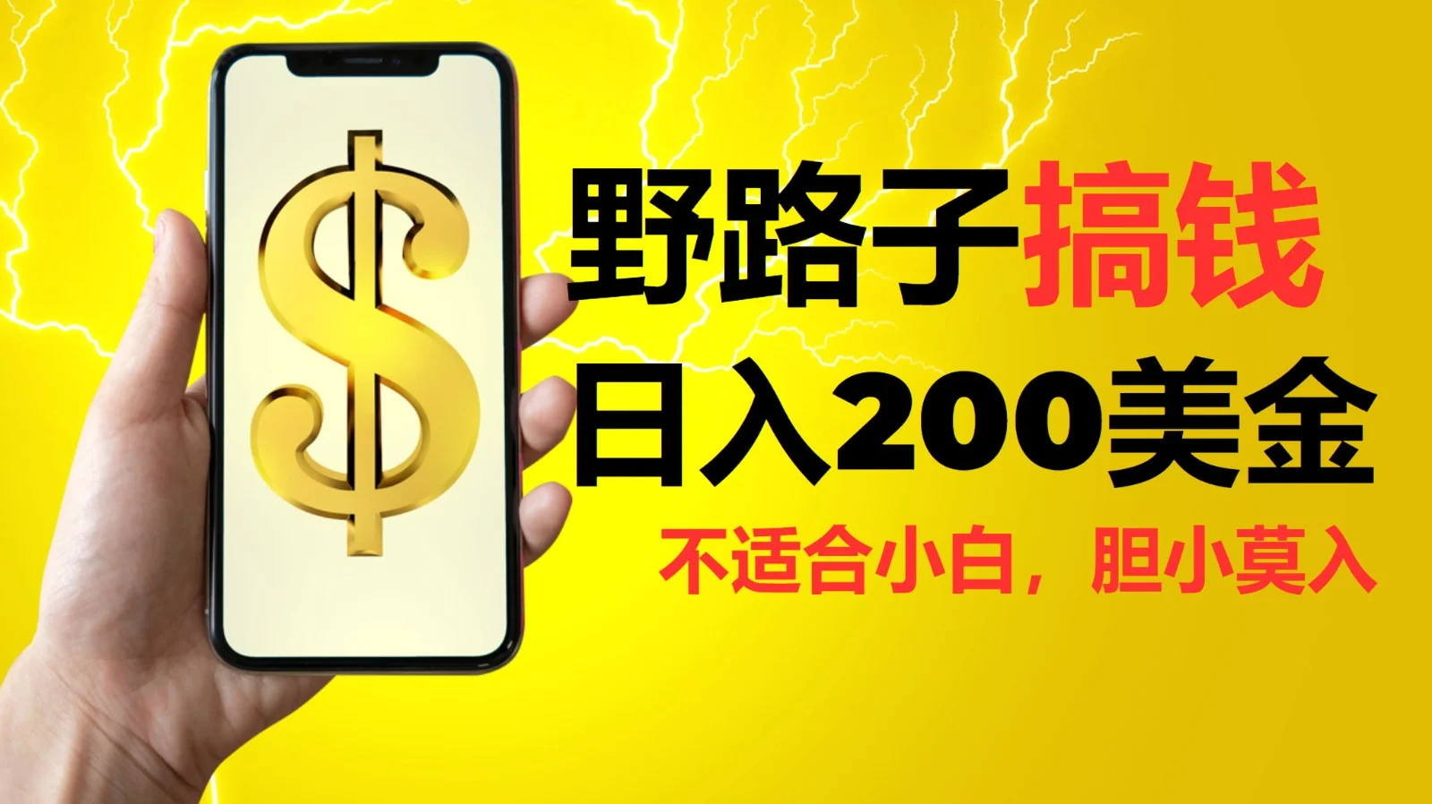 挂机野路子搞钱，日入200美金，路子很野，小白莫入-VHermes轻创网