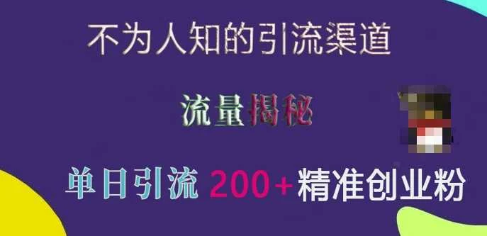 不为人知的引流渠道，流量揭秘，实测单日引流200+精准创业粉【揭秘】-U·Muse