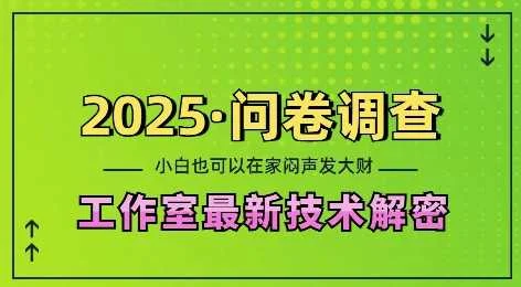 2025问卷调查最新工作室技术解密：一个人在家也可以闷声发大财，小白一天2张，可矩阵放大【揭秘】-UMuse轻创网