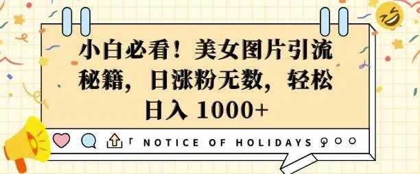小白必看，美女图片引流秘籍，日涨粉无数，轻松日入几张【揭秘】-UMuse轻创网
