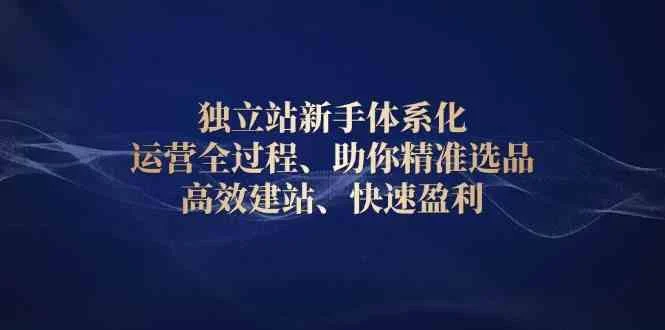 独立站新手体系化 运营全过程，助你精准选品、高效建站、快速盈利-UMuse轻创网