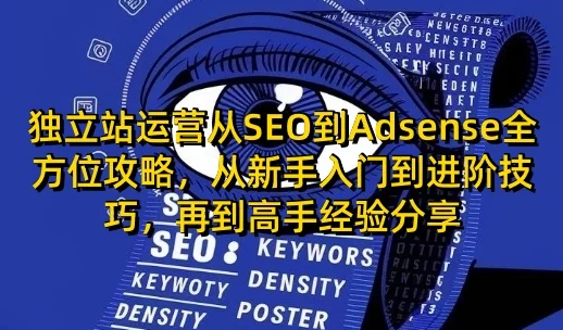 独立站运营从SEO到Adsense全方位攻略，从新手入门到进阶技巧，再到高手经验分享-VHermes轻创网