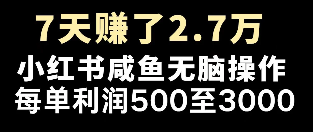 最赚钱项目之一，2025爆火，逆风翻盘！-chixinghuan轻创网