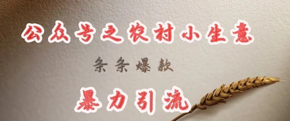 deepseek写农村小项目，条条爆款，暴力引流-chixinghuan轻创网
