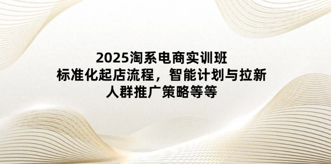 2025淘系电商实训班：标准化起店流程，智能计划与拉新，人群推广策略等等-UMuse轻创网
