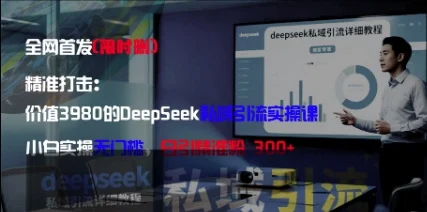 精准打击：价值3980的DeepSeek私域引流实操课，小白实操无门槛，日引精准粉300+-UMuse轻创网