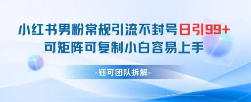 小红书男粉常规引流不封号日引99+变现简单 可矩阵可复制小白容易上手-UMuse轻创网