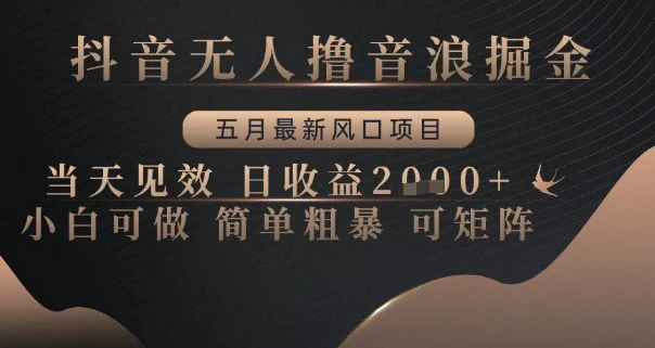 抖音无人撸音浪掘金，五月最新风口项目，当天见效，日收益多张，小白可做简单粗暴可矩阵【揭秘】-UMuse轻创网