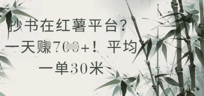 抄书在小红薯平台？平均一单30米，一天收益几张！-UMuse轻创网