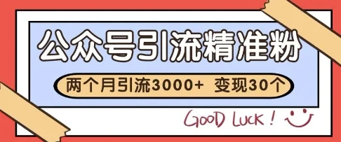 公众号精准粉引流玩法，2个月3000+精准粉，变现30个W【揭秘】-UMuse轻创网