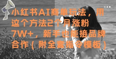 小红书AI商单玩法，用这个方法2个月涨粉7W+，新手也能接品牌合作(附全套指令模板)-VHermes轻创网