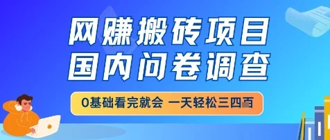 网创搬砖项目，国内问卷调查，小白轻松上手，一天三四张的也不难，干就完了【揭秘】-VHermes轻创网