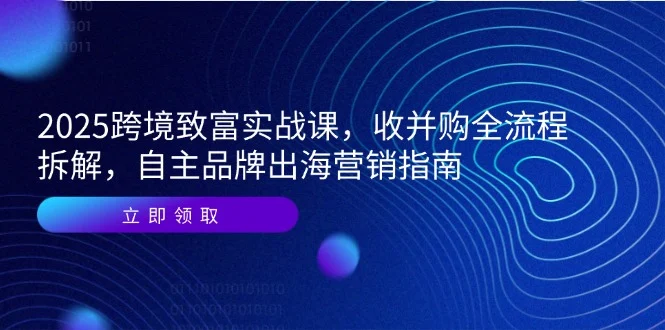 2025跨境致富实战课，收并购全流程拆解，自主品牌出海营销指南-UMuse轻创网