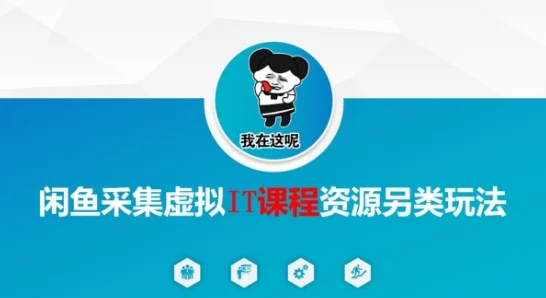 闲鱼采集虚拟IT课程资源另类玩法，干货满满-U·Muse