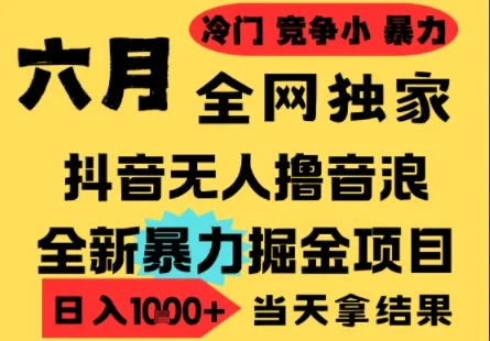 25年6月高爆抖音无人直播最新撸音浪掘金项目，小白可做，无脑日入1k+，门槛低可批量矩阵【揭秘】-VHermes轻创网