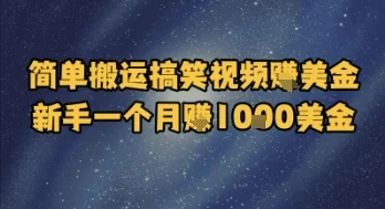 简单搬运搞笑视频挣美金，新手一个月入1k美金-VHermes轻创网