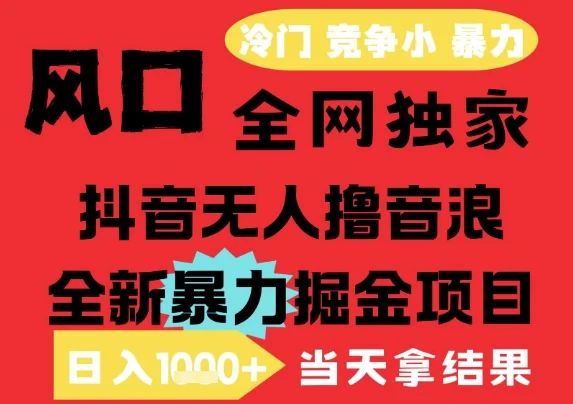 25年6月高爆抖音无人直播最新撸音浪掘金项目，解放双手小白可做，无脑日入1k+，门槛低【揭秘】-VHermes轻创网