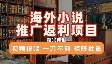 海外小说推广返利项目，视频投喂， 一刀不剪，矩阵批量-UMuse轻创网