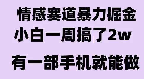 情感暴力掘金项目，新人操作一周挣了2W，长期稳定小白可做【揭秘】-UMuse轻创网