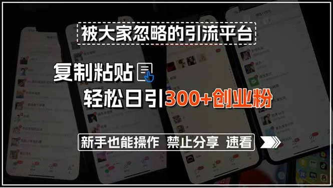 被大家忽略的引流平台，复制粘贴轻松日引300+创业粉，新手也能操作，禁…-UMuse轻创网