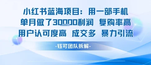 小红书蓝海项目，一部手机单月做了3W利润，小白也能月入过1W用户认可度高成交多-U·Muse