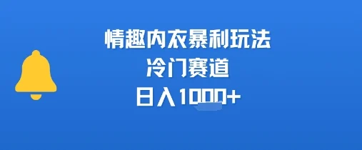情趣内衣暴利玩法，冷门赛道，日入1k+-U·Muse