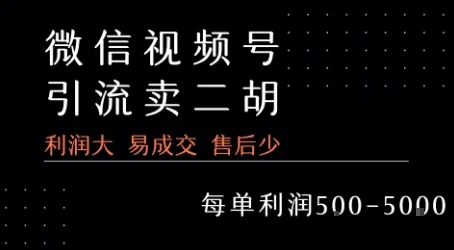 视频号卖二胡教程，利润大 易成交 售后少，一单利润5张+-U·Muse