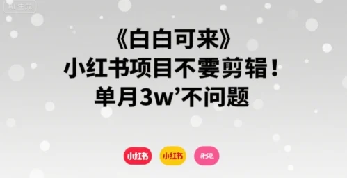 小白可来 小红书项目不需要剪辑 单月3w不是问题-U·Muse