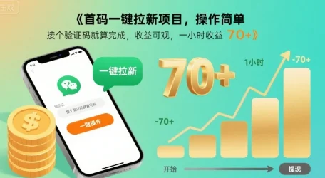 首码一键拉新项目，操作简单，接个验证码就算完成，收益可观， 一小时收益70+【揭秘】-UMuse轻创网