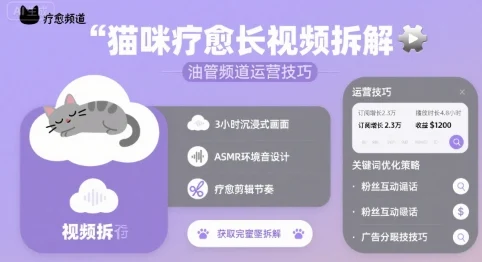 猫咪疗愈长视频拆解 &油管频道运营技巧-UMuse轻创网