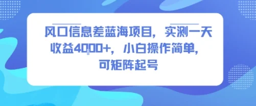 风口信息差蓝海项目，实测一天收益4k+，小白操作简单，可矩阵起号-U·Muse