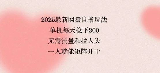 2025最新网盘自撸玩法，单机每天稳下3张，无需流量和拉人头，一个人就可轻松矩阵，全网独一份【揭秘】-U·Muse