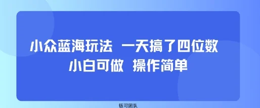 小众蓝海玩法 一天搞了四位数 小白可做 操作简单-UMuse轻创网