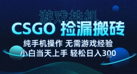 8月最新游戏搬砖，CSGO纯挂G，不需要玩游戏，实现真挂G，月入1W+【揭秘】-U·Muse