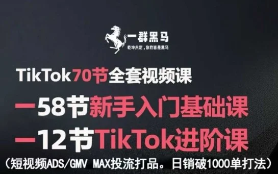 TikTok全套视频课，新手入门+进阶课，短视频ADS-GMV MAX投流打品，日销破1000单打法-UMuse轻创网