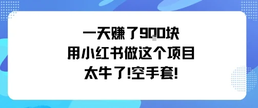 一天挣了9张用小红书做这个项目太牛了，空手套-U·Muse