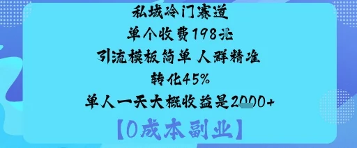 私域冷门赛道:单个收费198米引流模板简单人群精准转化45%单人一天大概收益是1k+-U·Muse